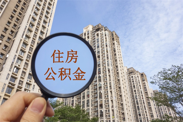 鹿邑离职可以取出公积金吗（离职可以取公积金嘛）